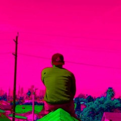 frank from mars