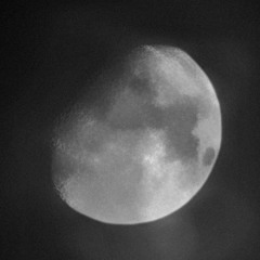lilmoon