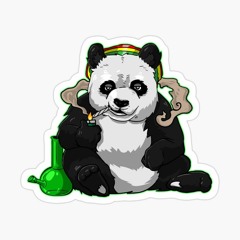 Panda.Bjorn