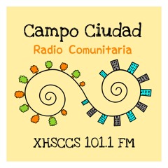 PROGRAMA Rosario Velazquez  alimentos
