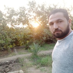 محمد سيد