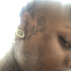 LIL 83N