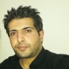 Hamidreza Asgari