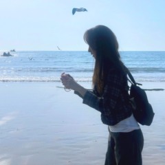 SHINSUI