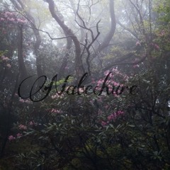 xoane - jussbYoU