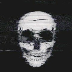 S N Z
