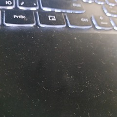 Максим Болотов