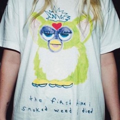 dirt wonk chronicles