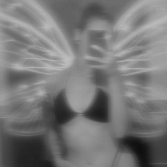 Bella Rose❤️🌹