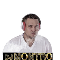 Dj montro el animal de la mezcla