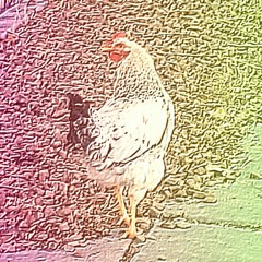 Dreaming w/ Machines