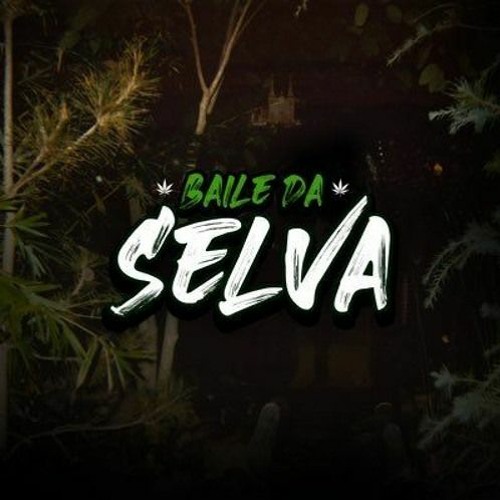 BAILE DA SELVA OFC’s avatar
