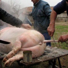 Radoslav Radoslavov PIG