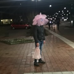 Nick vd Pol