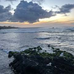 𝑻𝒂𝒎𝒂𝒉𝒊𝒏𝒆_𝑻𝒌