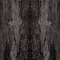 Sacral | Collapsed Fractal