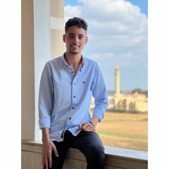 Mohamed abueid