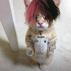 2punk