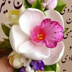 amininjast