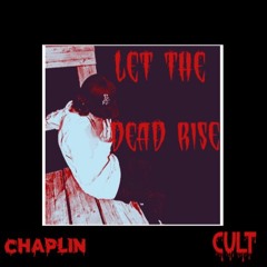 chaplinestate