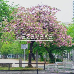 Field Day (azayaka and tonbo)