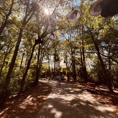 You already know 🤪🤪