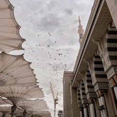 عائِشة مَمدوح