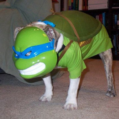 scoobs