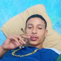 hudson santtos