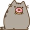 Procat