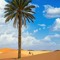 Imad Abid