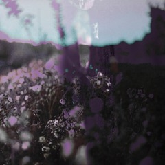Sonant