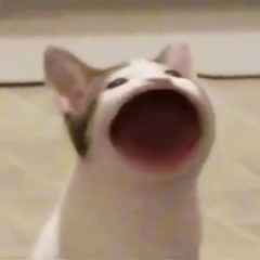 Овсянка