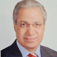 Hassanin Hamzawy