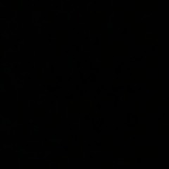 User 186547175