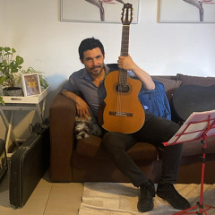 Manuel F Navarro G