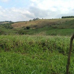 pretinho sp