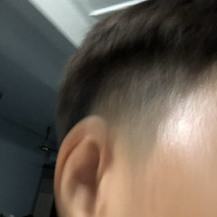 bvvoy_