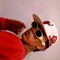 Jordan Dj