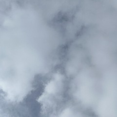 88