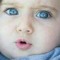 Shemo Yassin