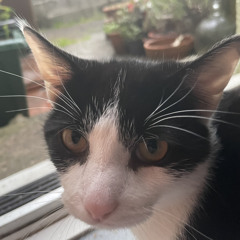 HzzRBzzR