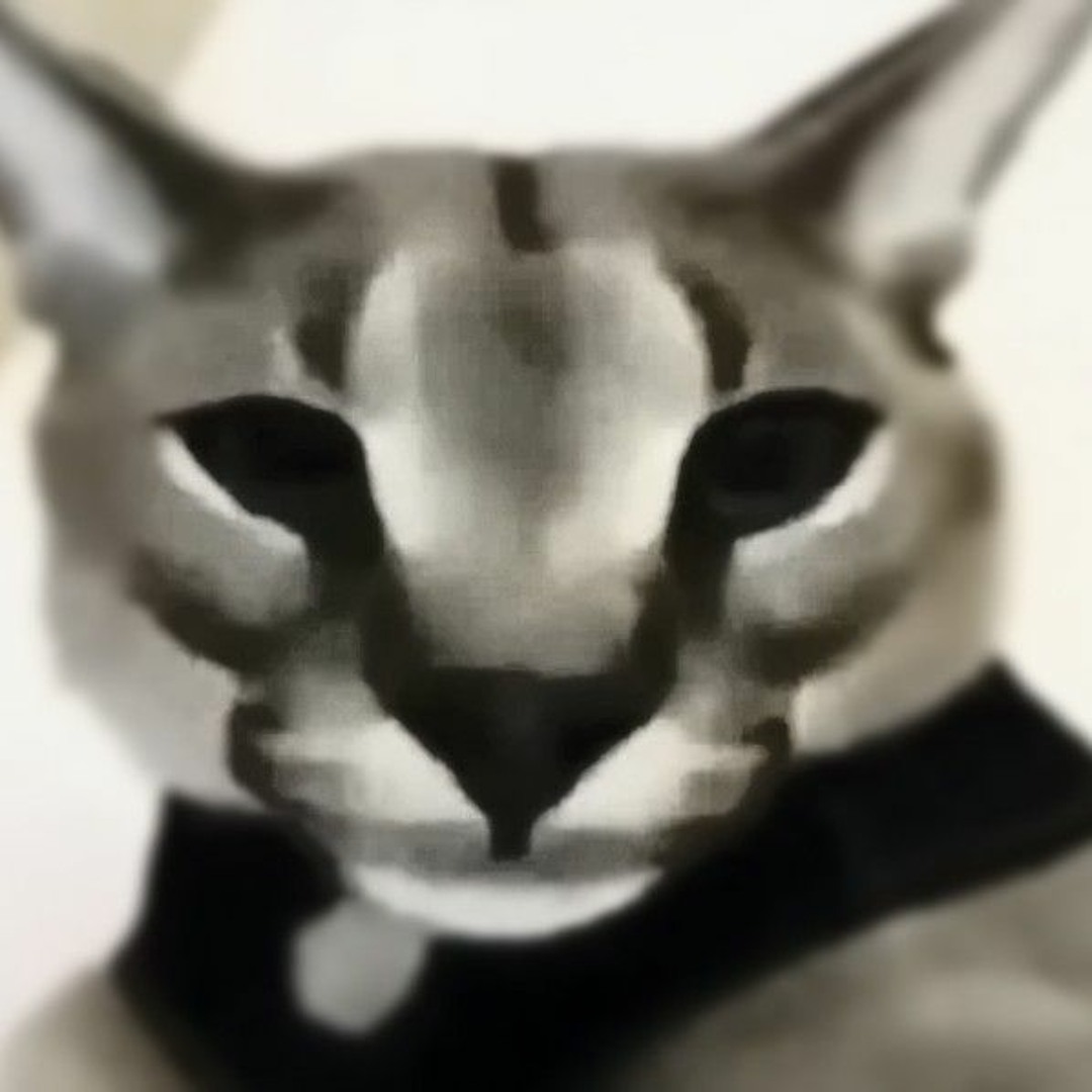 Monday left me broken cat gif