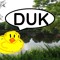 Puppy_Struk