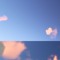 tanoide