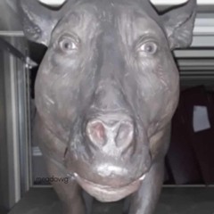 wvjtinhø