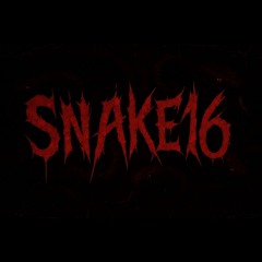 Snake16