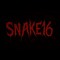 Snake16