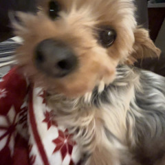 jules <3