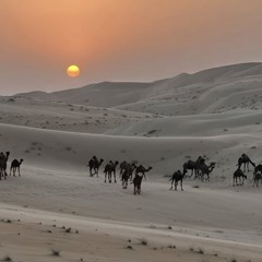 wateen